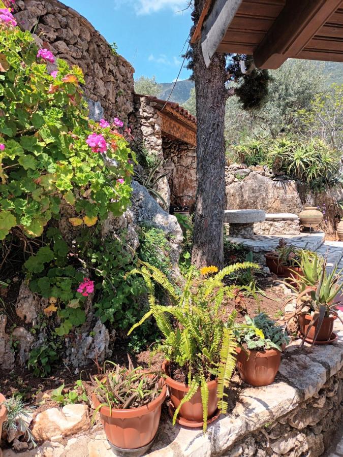 Aphrodite'S Maisonette On Corfu Island Барбати Екстериор снимка